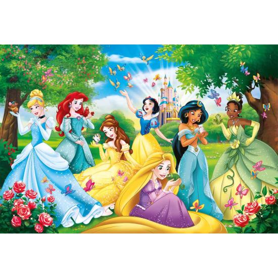 Comprar Puzzle Clementoni Princesas Disney Maxi 60 Piezas Clementoni