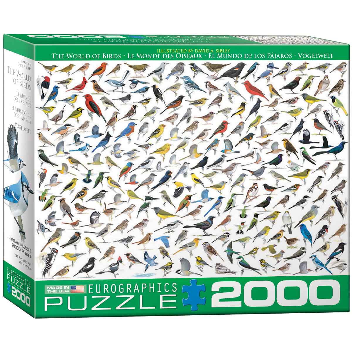 Eurographics Guarda Puzzle 500-2000 Piezas 