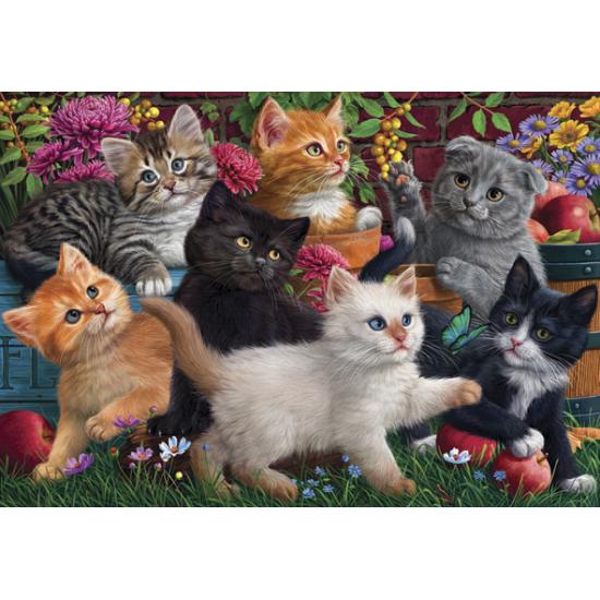 Comprar Puzzle Anatolian Sala de Jogos de Gatos de 260 peças -  Anatolian-3331