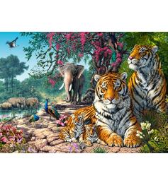 Puzzle Castorland Santuario de los Tigres de 300 Piezas