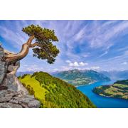 Puzzle Castorland Vista del Lago Uri, Suiza de 1000 Piezas