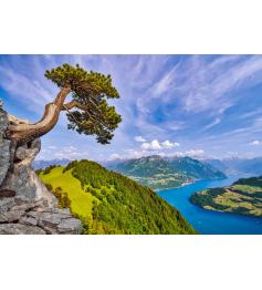 Puzzle Castorland Vista del Lago Uri, Suiza de 1000 Piezas