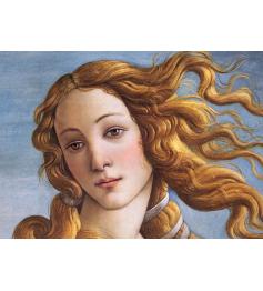 Puzzle Cherry Pazzi Retrato de Venus de 1000 Piezas