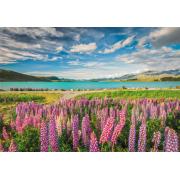 Puzzle Clementoni Lupinos En El Lago Tekapo de 1500 Piezas