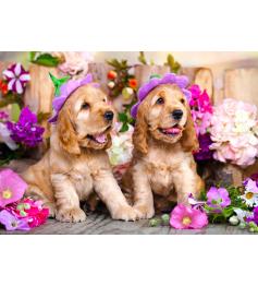 Puzzle Enjoy Cachorros Spaniel con Sombreros Floridos de 1000 P