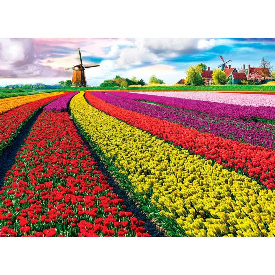 Comprar Puzzle Eurographics Campo de Tulipanes, Holanda de 1000 Pzs -  EUROGRAPHICS-6000-5326