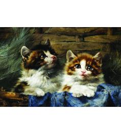 Puzzle Gold Pareja de Gatitos de 500 Piezas