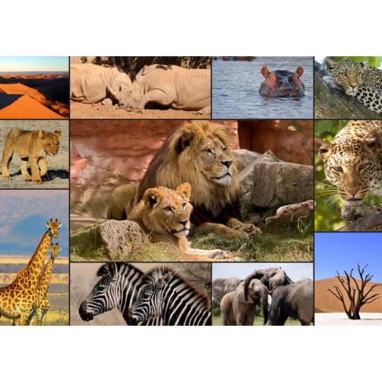 Educa - Collage Animales Salvajes