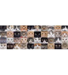 Puzzle Nova Panorama Collage de Gatos de 1000 Pzs