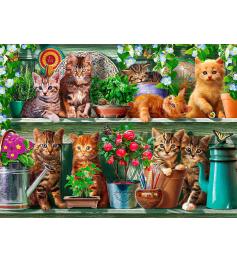 Puzzle Ravensburger Gatos en el Estante de 500 Piezas