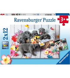 Puzzle Ravensburger Pequeñas Bolas de Pelo de 2x12 Piezas