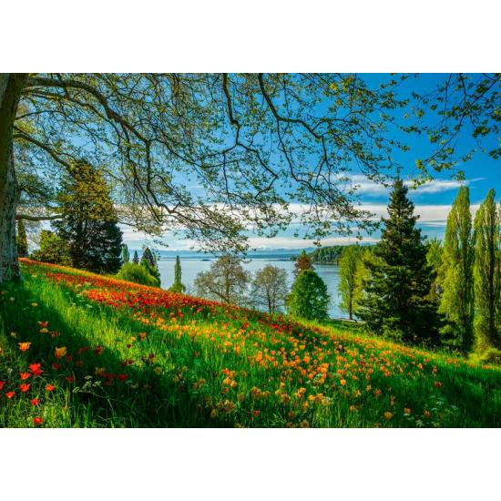 Comprar Puzzle Schmidt Floración de Tulipanes, Isla Mainau de 1000 Pzs -  Schmidt-58967