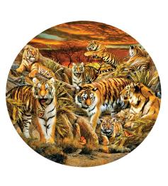 Puzzle SunsOut Circular Manada de Tigres XXL  500 Pzs