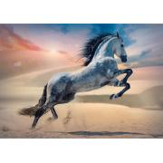 Puzzle Trefl Caballo Majestuoso de 1000 Piezas